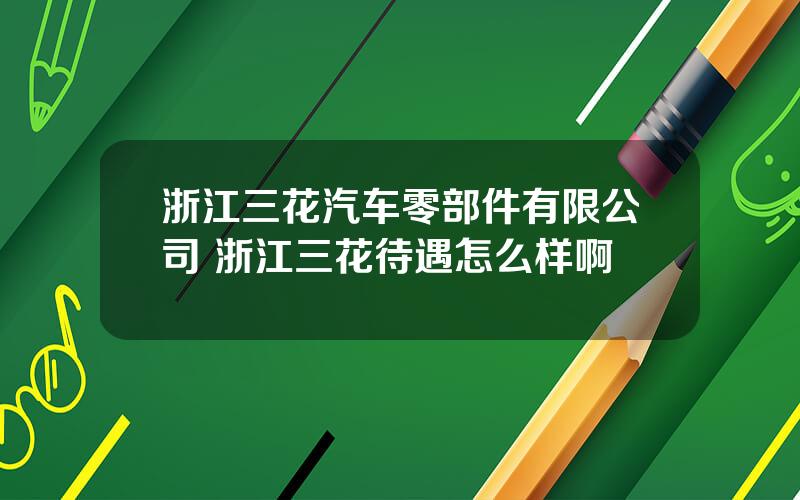 浙江三花汽车零部件有限公司 浙江三花待遇怎么样啊